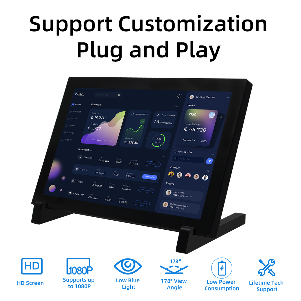 Портативный монитор IPistBit с – обзор и цена Raspberry Pi 10.1 Inch Capacitive Touch Screen Ips